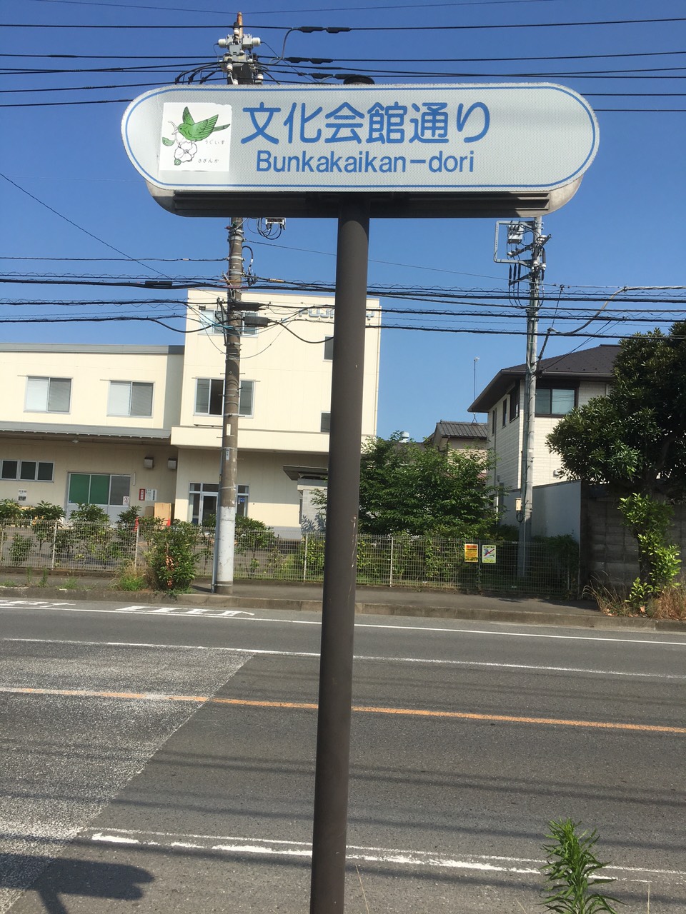 道路の中央付近に立てられた、緑のイラストと「文化会館通り」の文字が記されている街路表示板の写真