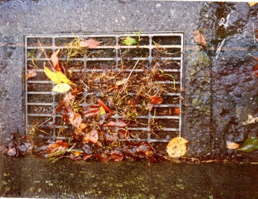 雨水の流れを妨げている状態のグレーチングの詰りを示す写真