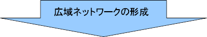 水色の矢印の中に「広域ネットワークの形成」と書かれた画像
