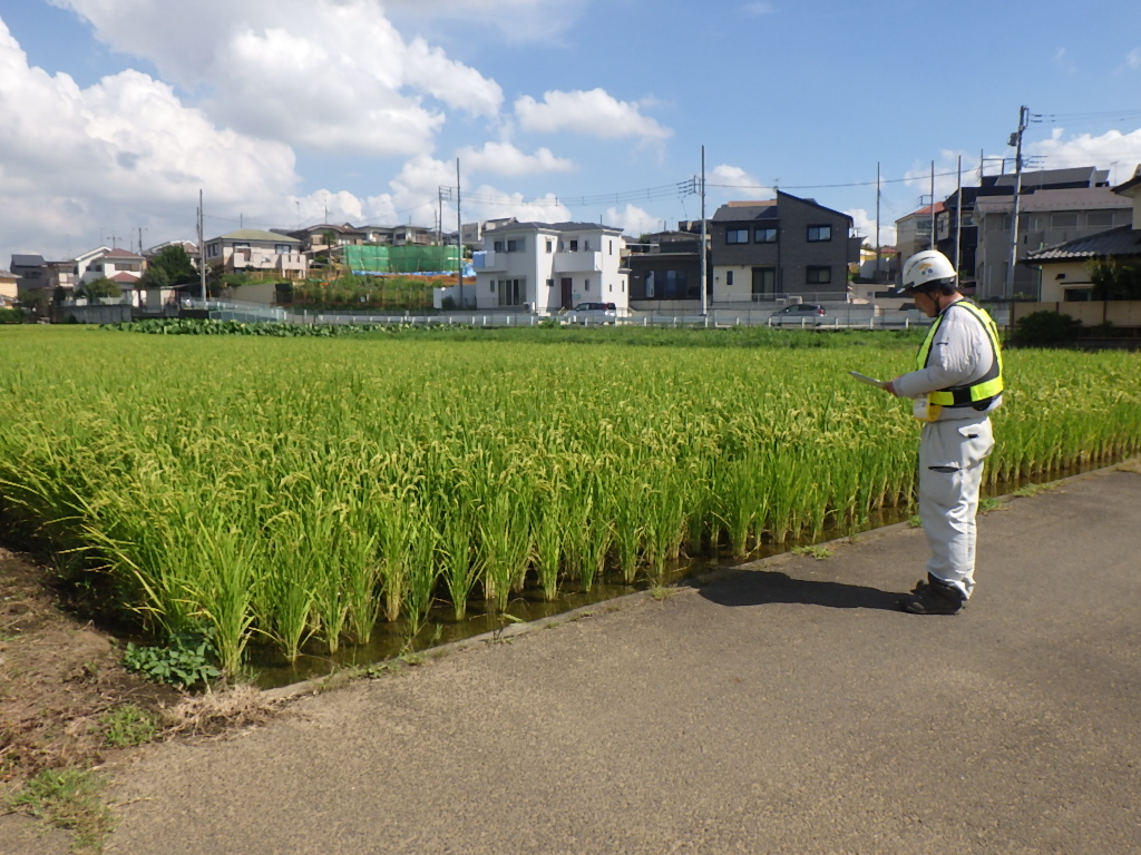 田んぼ横の道に作業服にヘルメットを着用した男性が立ち、調査を行っている様子の写真