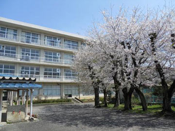 屋根が付いた手洗い場と、満開の桜の木が並ぶ奥に、白い3階建ての校舎が建っている校舎の外観写真