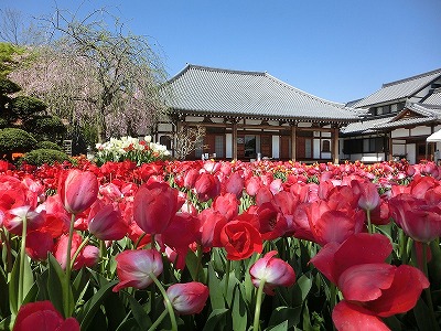 泉蔵寺写真