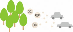自動車のCO2排出と樹木のイメージ