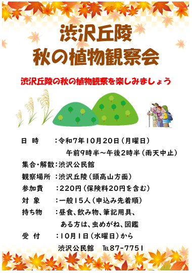 植物観察