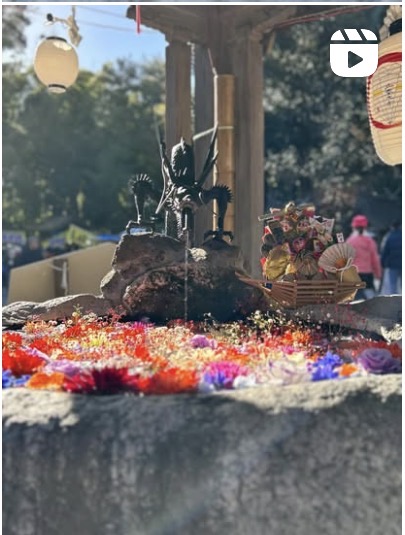 第4回秦野市インスタグラム写真動画コンテストの動画部門の最優秀作品のサムネイル画像で、出雲大社の手水舎に色とりどりの花が飾られている