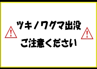 ツキノワグマ目撃情報の画像