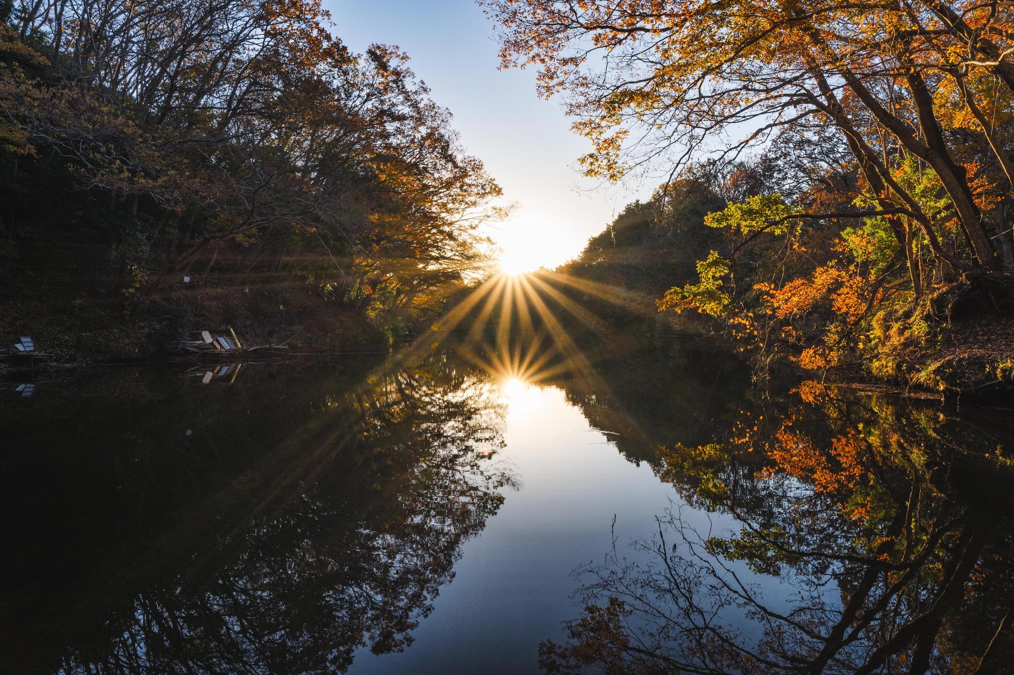 紅葉に染まる震生湖