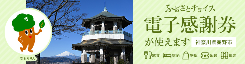 シンボルキャラクター「もりりんと、富士山と仏舎利塔を背景に「ふるさとチョイス電子感謝券が使えます神奈川県秦野市」と書かれた画像