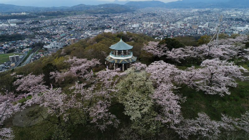 満開の桜に囲まれた八角形の展望台が山頂に建ち、その眼下に広がる街並みと遠くの山々を一望する風景を上空から撮影した写真