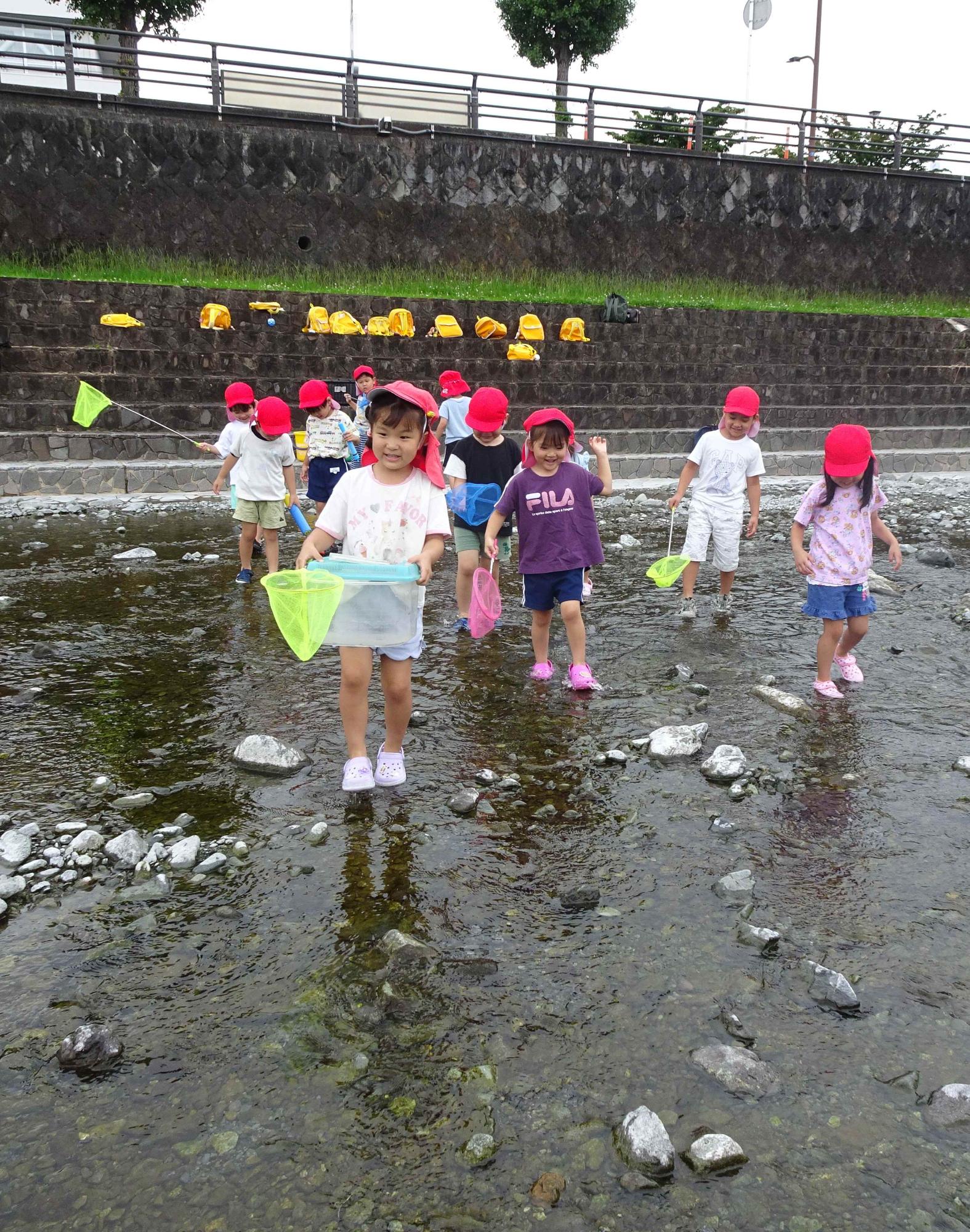 園の近くにある水無川に行き、年少児が網と飼育ケースを持って生き物探しをしているところです。
