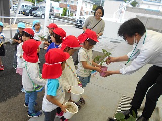 赤い帽子をかぶった複数の園児が、男性から鉢植えの苗を受け取り、植木鉢を持ち並んでいる園児の写真