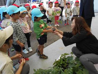 農協の方から野菜の苗を受け取っている子ども達