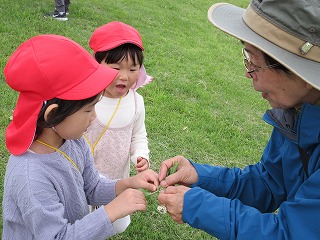 赤色の帽子をかぶった二人の園児が、青い上着を着た先先生と一緒に、しゃがんで白い花で遊んでいる様子の写真