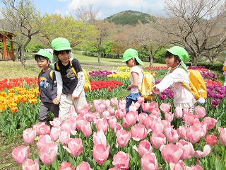 黄緑色の帽子をかぶった四人の園児たちが、満開のピンクや赤、黄色など色とりどりのチューリップ畑を歩いている様子の写真