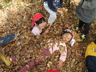 赤い帽子をかぶった二人の園児が山盛りの落ち葉の中に寝転んで幸せそうな笑顔を見せており、他の園児が上からさらに落ち葉をかけている様子を写した写真
