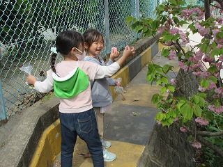 満開の桜の木の横で、2人の園児が桜の花びらを持ち笑顔で笑っている写真