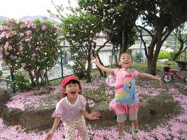 桜の花びらで遊ぶ園児