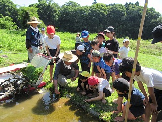 青空の屋外で、帽子をかぶった子どもたちが、田植え機らしき機械のそばで水田を覗き込み、先生と思われる大人から稲作について学んでいる様子の写真
