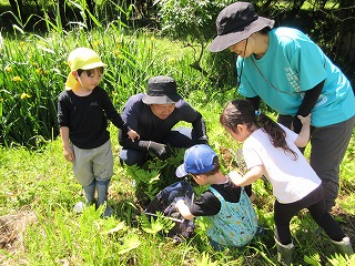 晴れた日に、屋外で、黄色や青の帽子をかぶった3人の子どもたちが、長袖Tシャツ姿の2人の大人と一緒に、草むらの中に生えている植物や虫を熱心に観察している自然体験学習の様子の写真