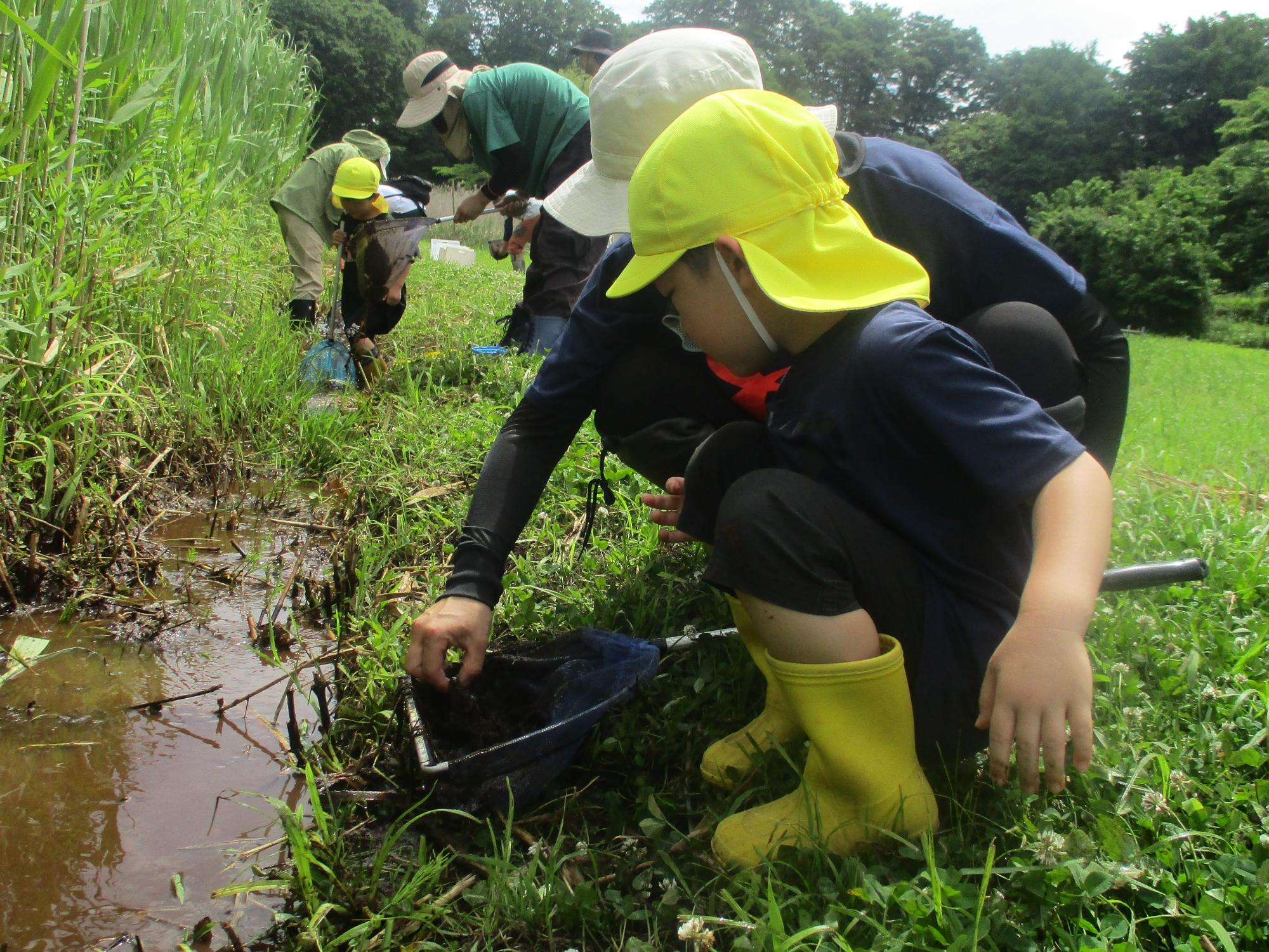 親子で生き物の里に行き虫探しをする