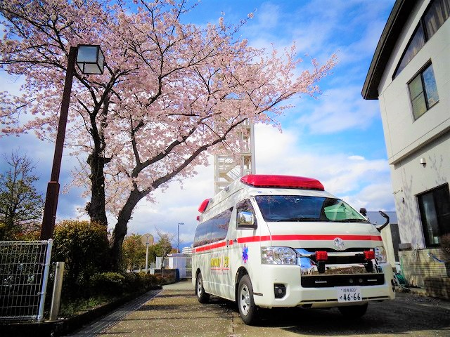 青空の下、満開の桜の木の下に白い消防署南分署の救急車が停まっており、車体には赤いラインと青い六角形のマークが描かれている救急車の写真