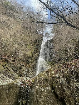 周囲の木々は葉を落とし茶色く枯れた枝が目立つ中、切り立った岩肌の崖の中央を勢いよく水が流れ落ちる冬または早春の滝の写真