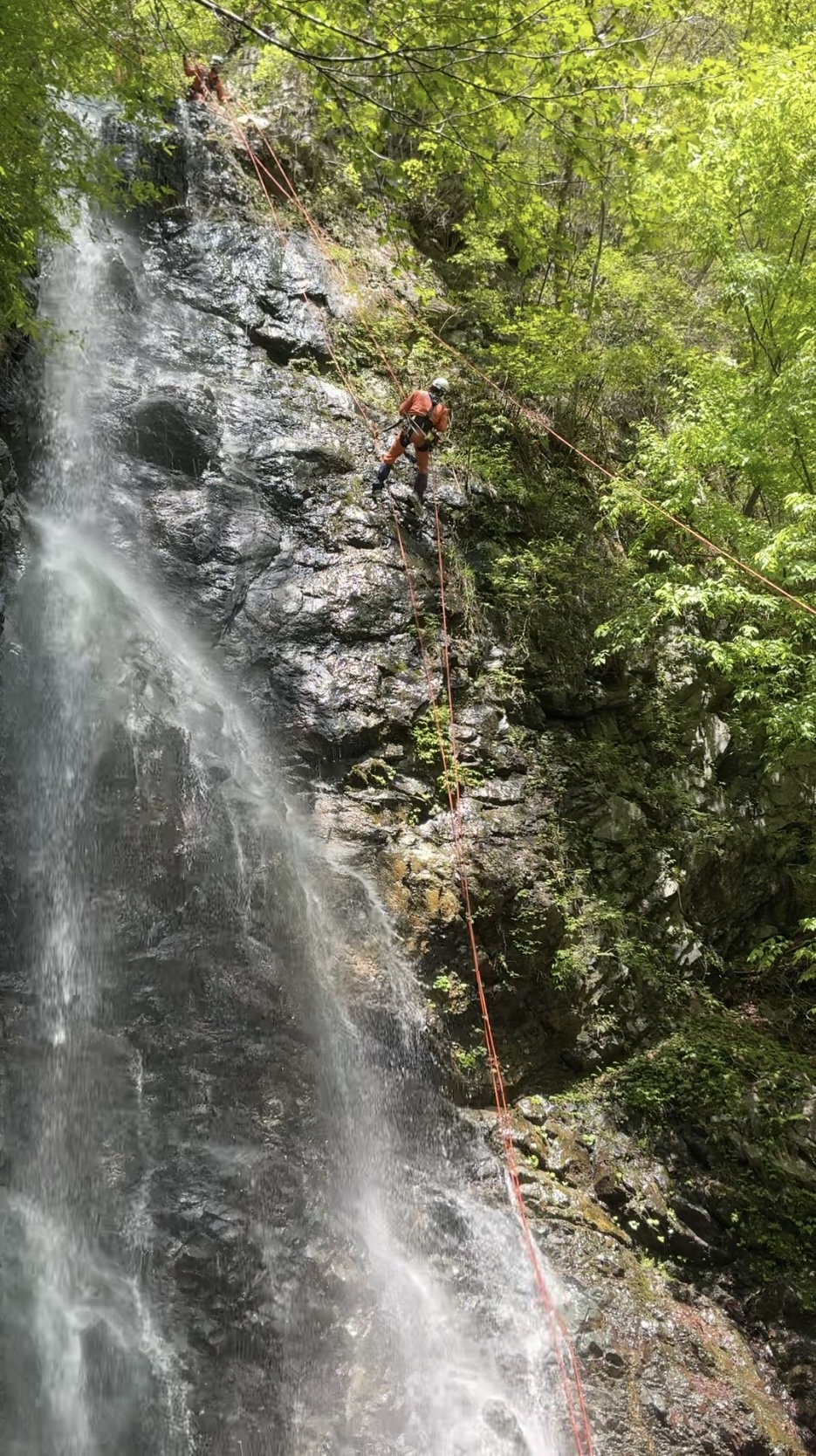 オレンジ色のレスキュー服を着用した隊員が、勢いよく流れ落ちる滝の横の切り立った岩壁を、何本もの赤いロープを使いながら降下している、迫力ある訓練の様子の写真