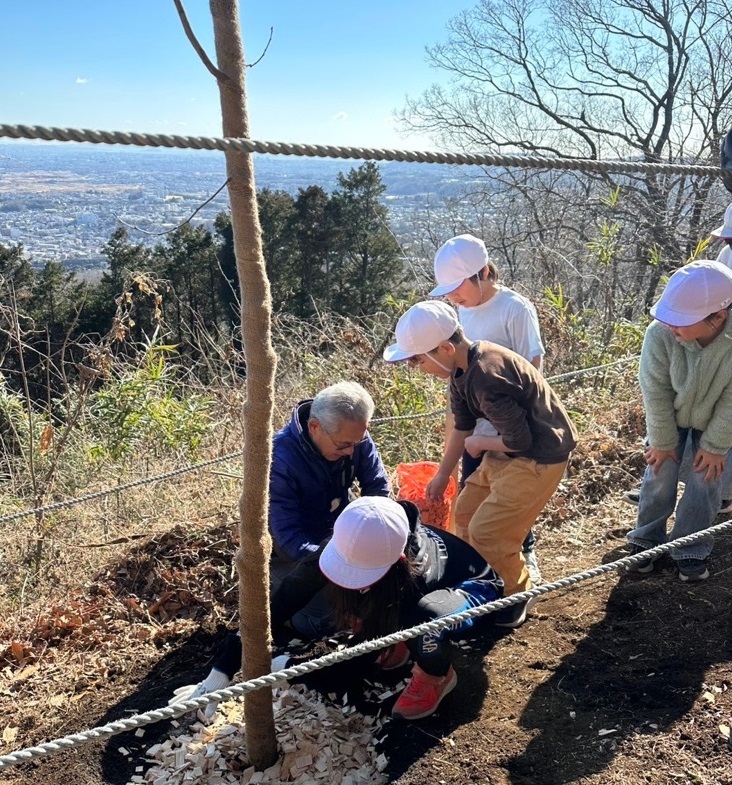 冬の晴れた日に、山の上から街を見下ろす場所で、大人1人と白い帽子をかぶった複数の子どもたちが協力して、植えられたばかりの木の周りに木のチップを敷き詰めている植樹活動の写真