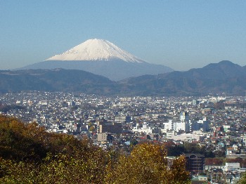 雪をかぶった雄大な富士山が遠景にそびえ立ち、その手前にはビルや家屋が密集した広大な秦野市の街並みが広がり、前景には紅葉した木々が写し込まれた写真