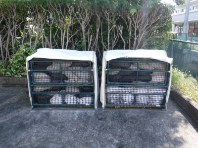 樹木を背景に並べて設置された二基の白いフレーム付き金属製メッシュ防災倉庫に、複数台の土のうが格納されている写真