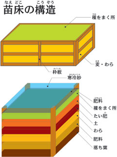 枠板と寒冷紗で作られた苗床の外観と、上から種をまく場所、たい肥、わらなどの層が積み重なった内部構造を示したイラスト