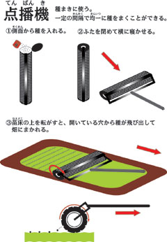 棒状の器具の穴に種を入れ、苗床の上を転がすことで、穴から種が飛び出して均等に種まきができる「点播機」の仕組みを説明したイラスト