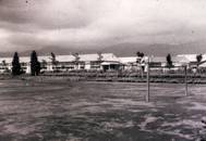 校庭の先に等間隔に植えられた木々と複数の建物が見える南中学校のモノクロ写真