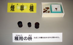 透明なケースの中に、「種用」と書かれた木製の小さな枡が3つ置かれ、その上にはタバコの種子が展示されている写真