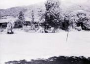 校庭の奥に複数の木々と平屋の建物が見える北小学校のモノクロ写真