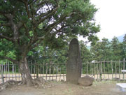 大きな木の右横に、石碑と丸い石が並べて置かれた波多野城址の写真