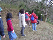 林の横の開けたスペースに複数の人々が立ち、同じ方向を向いている自然観察の様子の写真