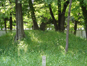 木々に囲まれた場所に、緑の草が茂る小さな盛り土があり、奥に白い塀が見える念仏塚古墳の写真