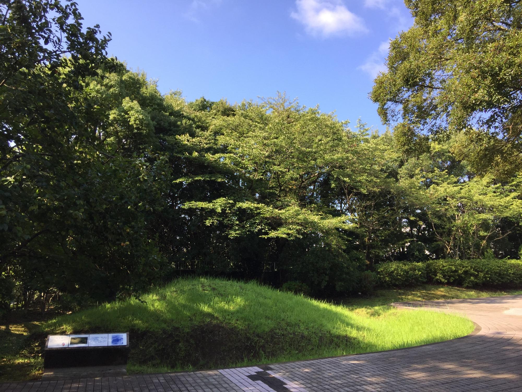 木々に囲まれ舗装された歩道の脇にある説明板が設置され、緑の芝生で覆われた26号墳の写真