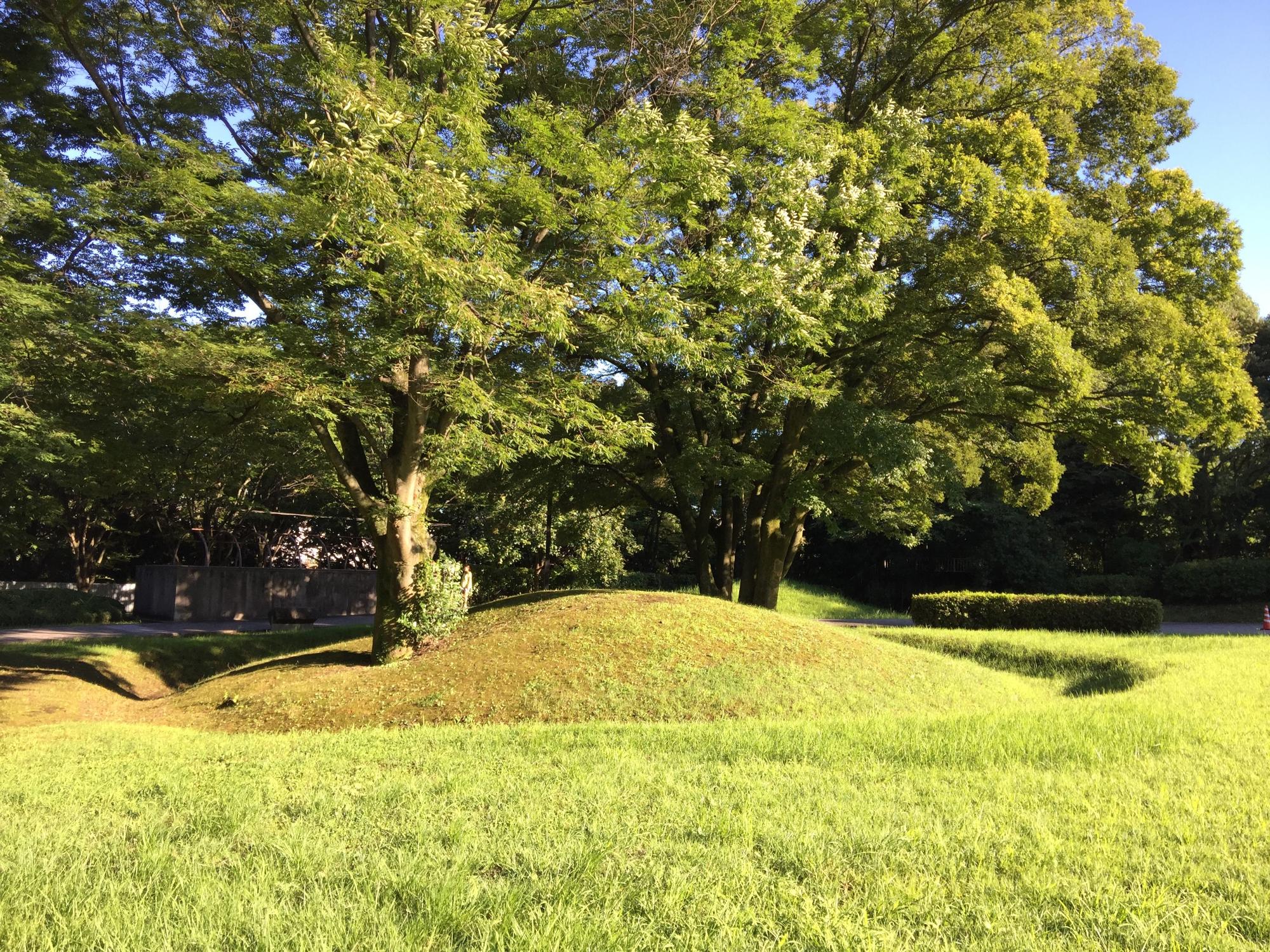 緑の木々の前にある芝生広場の中にある、1本の木が生えた28号墳の写真