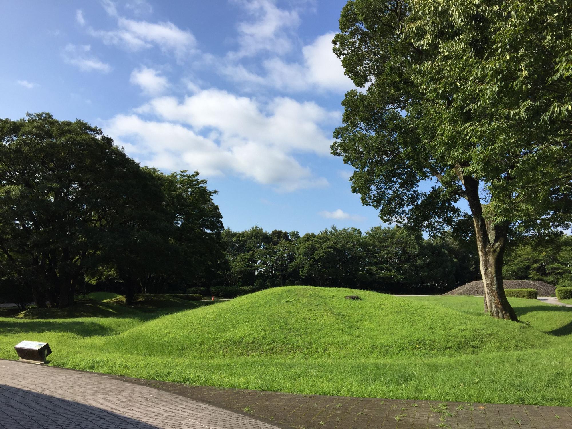 緑の木々の前にある芝生広場の中に、青々とした芝生が茂り、1本の木が生えている30号墳の写真