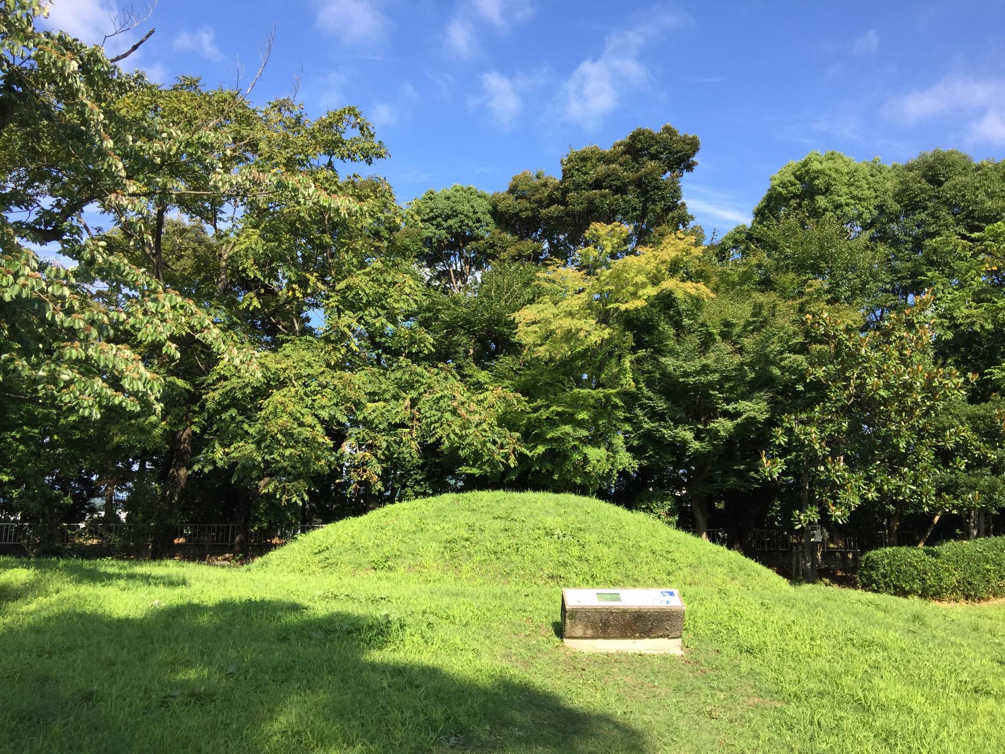 緑の木々の前にある、芝生に覆われた31号墳の写真