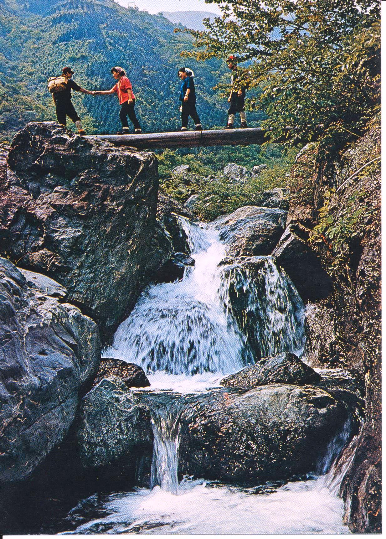 渓谷に架かった丸太の橋を4人のハイカーが渡っている様子を下から撮影した写真が載った絵葉書
