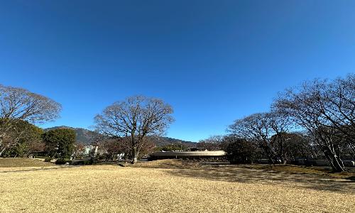 20260110古墳公園