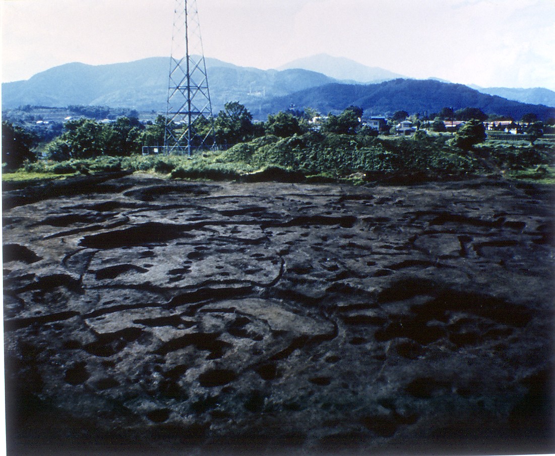 根丸島発掘状況