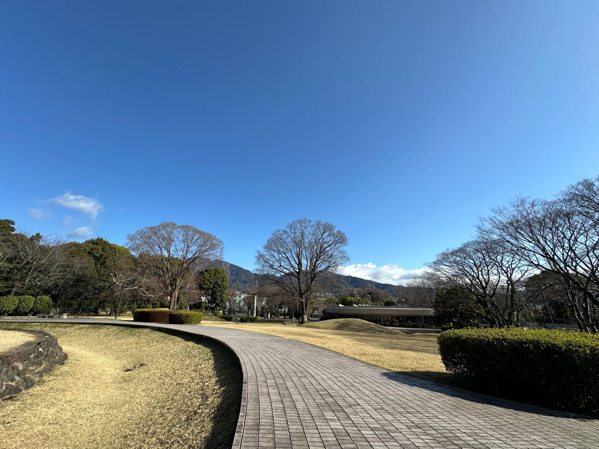 古墳公園 復原古墳脇から丹沢