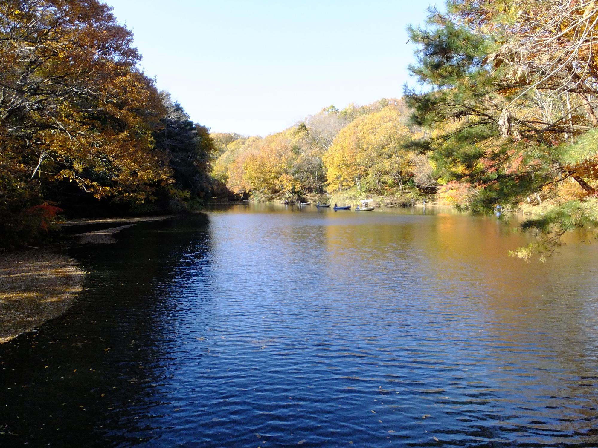 周囲を木々に囲まれ、風で水面に小さな波ができている震生湖の写真