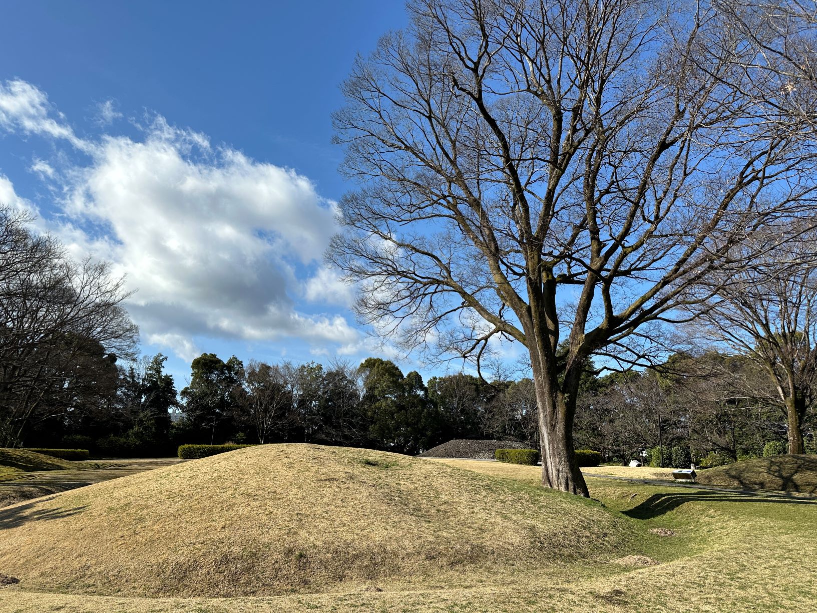 古墳公園 30号墳