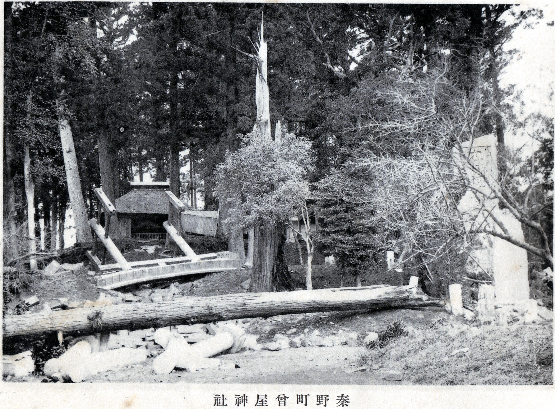 多数の木々が生い茂る森の中に、倒壊した鳥居の奥に建つ小さな社殿があり、手前には倒れた大きな木などが散乱している曽屋神社を捉えた白黒写真