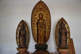 光背と台座の上に立つ、3体の木製の仏像で、中央の像は金色に輝き、両脇の像は暗い色合いで、それぞれ異なる手の形をしている金剛寺木造阿弥陀三尊立像の写真